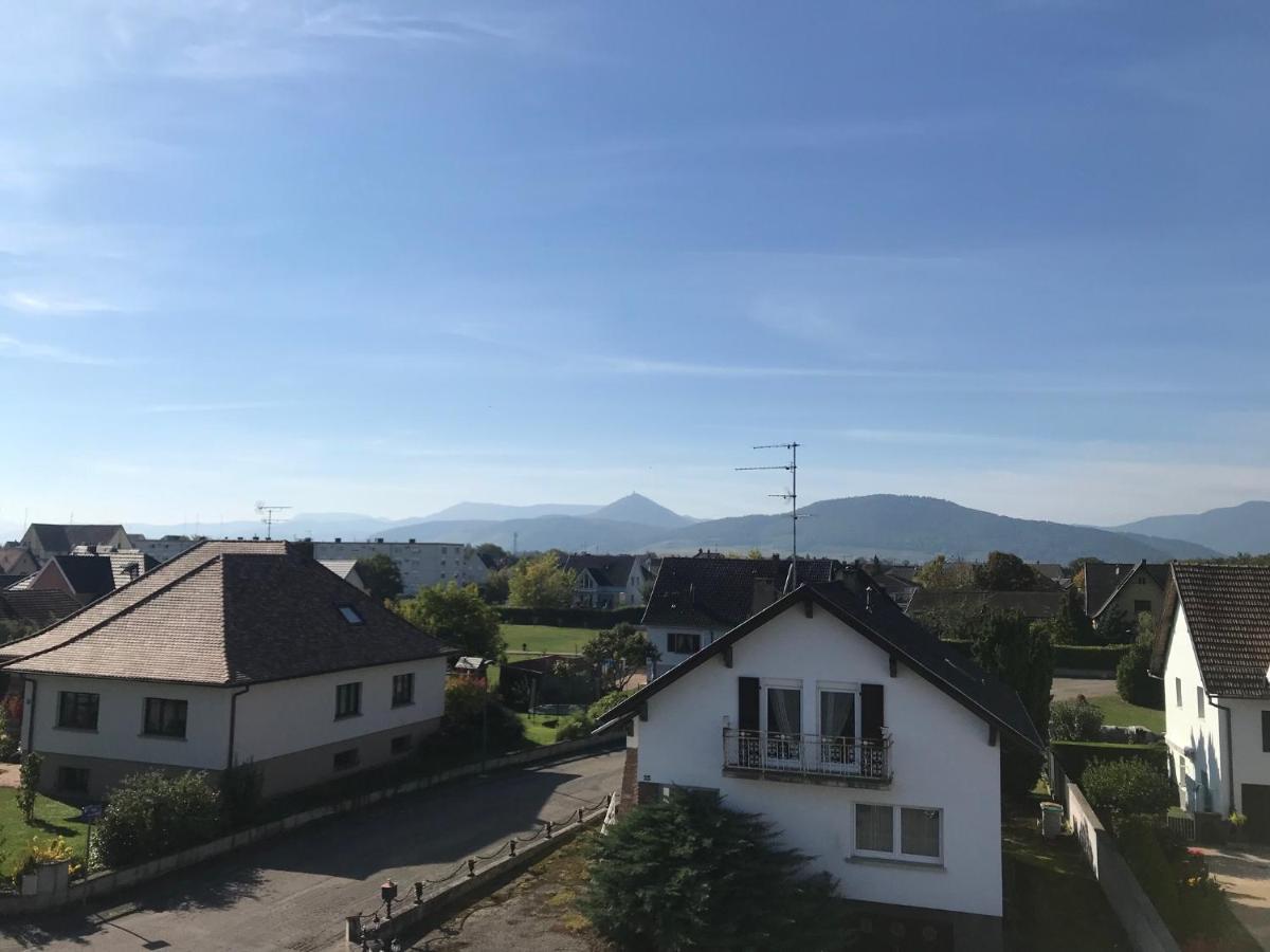 Appartement Chaleureux Et Lumineux Avec Vue ! Au Centre Alsace Selestat Exterior photo