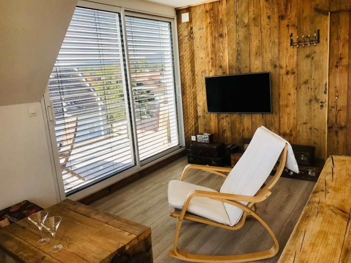 Appartement Chaleureux Et Lumineux Avec Vue ! Au Centre Alsace Selestat Exterior photo