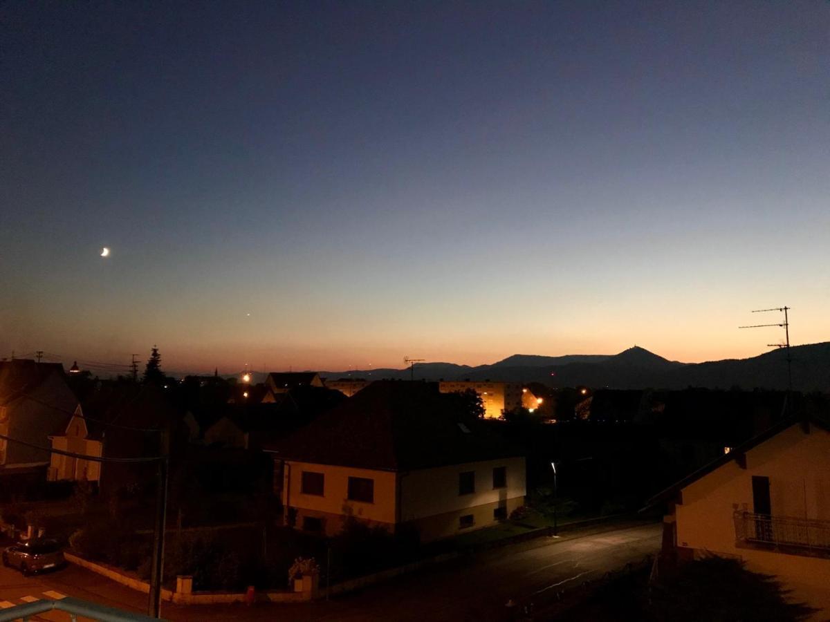 Appartement Chaleureux Et Lumineux Avec Vue ! Au Centre Alsace Selestat Exterior photo